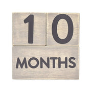 Blocs âge en bois bébé Gris - Pearhead