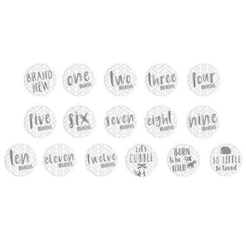 Livre de mémoire pour bébé Chevron - Pearhead