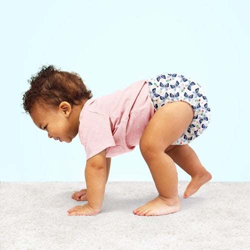 Pack couches intégrales MIOSOLO Insectes