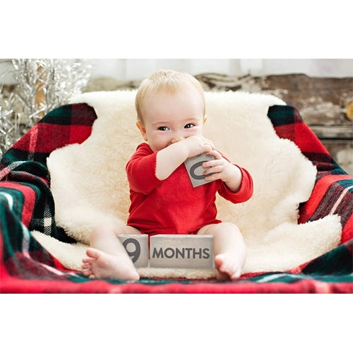 Blocs âge en bois bébé Gris - Pearhead