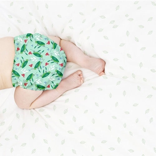 Pack couches intégrales MIOSOLO Insectes