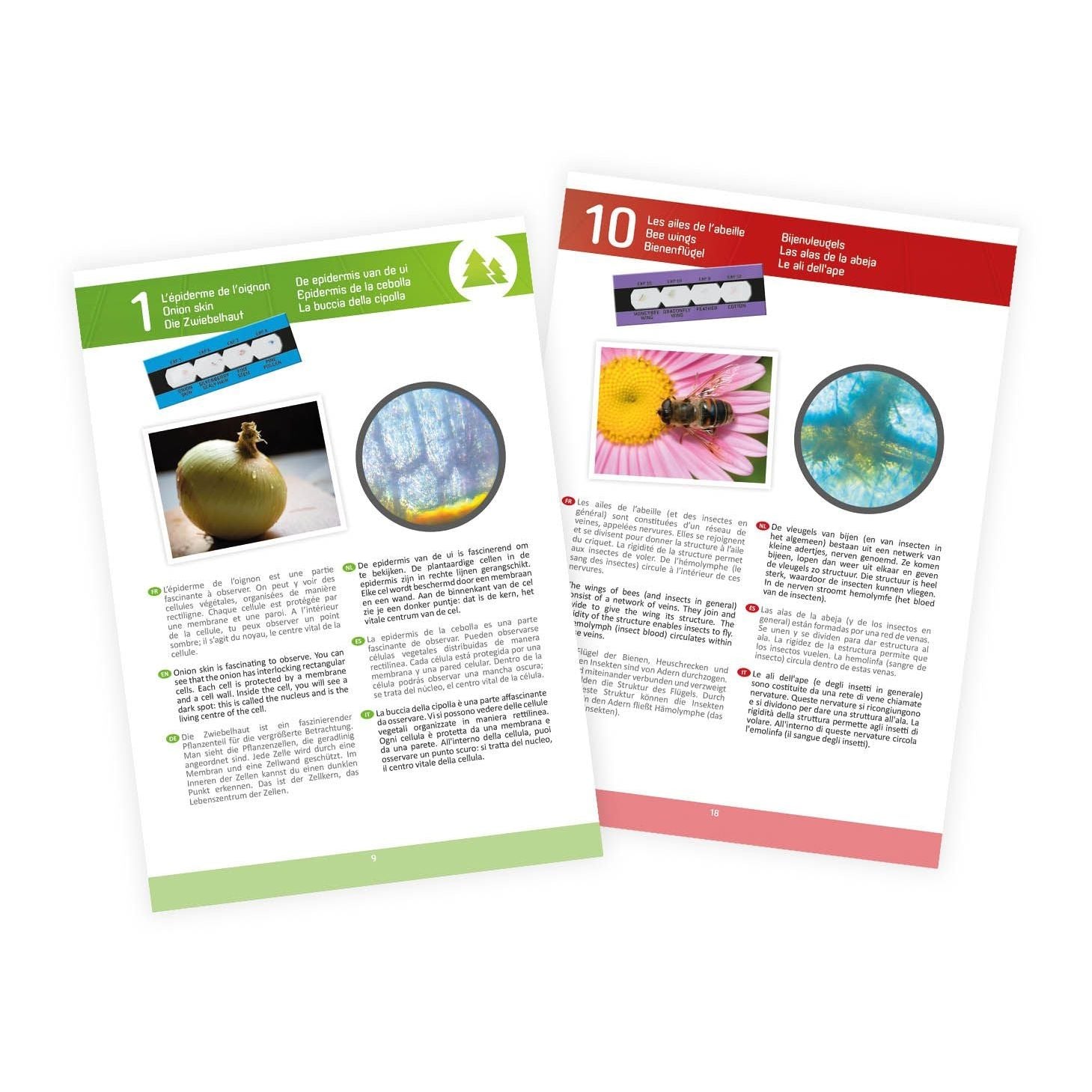 Microscope 15 experiences 6+ - Buki